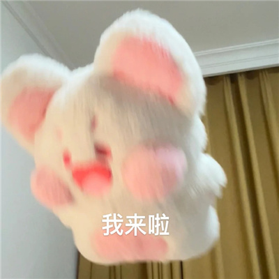 0061xXZ6gy1hap8ckv9apj30ty0sdtdu.jpg