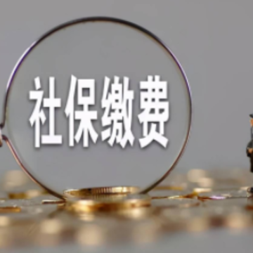 �籣�Ͻ���ʲôӰ�� �籣�Ͻ���ô����
