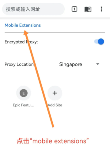 Epic浏览器手机版下载 Epic浏览器手机版下载
