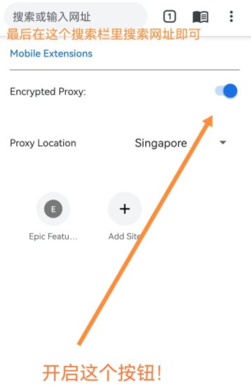 Epic浏览器手机版下载 Epic浏览器手机版下载