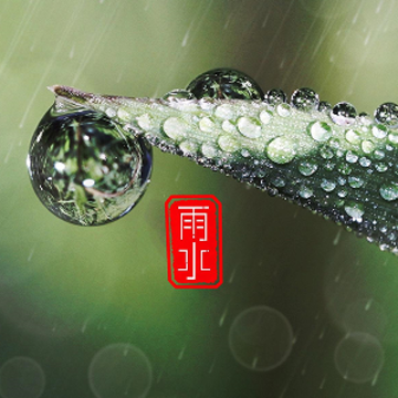 2023雨水节气朋友圈祝福语 雨水节气朋友圈短句 2023雨水节气朋友圈祝福语 雨水节气朋友圈短句