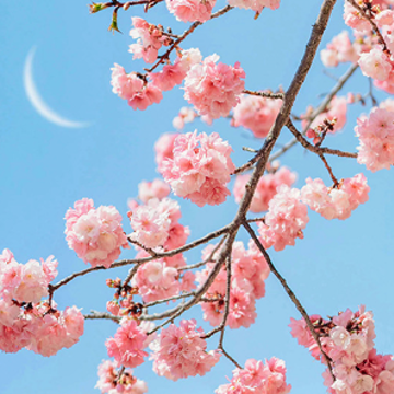 �����Ķ���QQ�ǳ����� ���Ҹ����Ķ��ǳ�