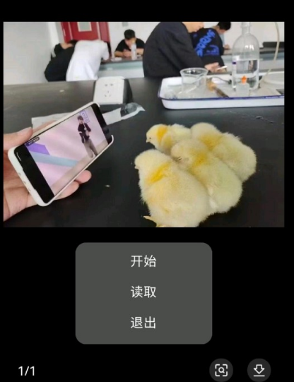 ����С���Ӿ���2