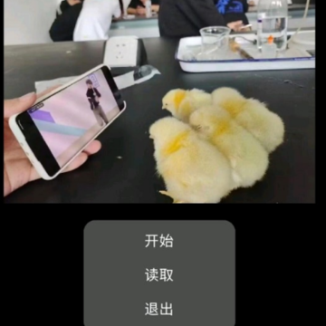 神明小黑子惊魂2 神明小黑子惊魂2