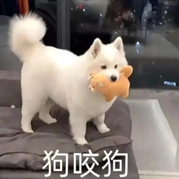 大学生最爱的奇奇怪怪的网名 有个性的好笑网名简短 大学生最爱的奇奇怪怪的网名 有个性的好笑网名简短
