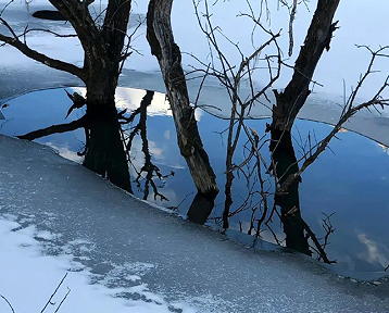 ����ܲ�˳������˵˵ ���鲻������ľ���