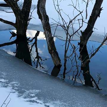 ����ܲ�˳������˵˵ ���鲻������ľ���