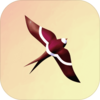 ̫����Sunbirdsv1.0.2 ��׿��
