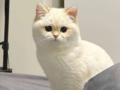����Լ�Ҫ�����Եľ��� �����Լ��Ժ���볤���Ե�˵˵