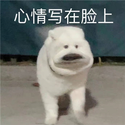 ����Ƥ�ֺ����õı������� �ܿ��ĵĺ����������