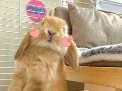 �����������΢��ǩ������ ����ˮƽ��΢��ǩ��