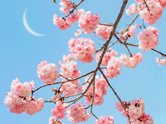 �����Ķ���QQ�ǳ����� ���Ҹ����Ķ��ǳ�