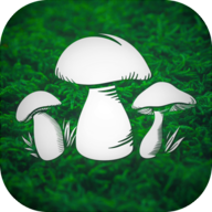 ĢˣReal Mushroom Huntingv1.75 ׿