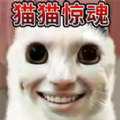 è�����ģ����v1.0 ��׿��