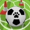 è����ѵ��Cats Football Trainingv1.0.1 ���İ�