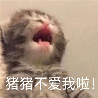 2023�ܸ�ֵ��������� �����������ֵı���