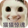 è���ع�èè����v1.0 ��׿��