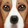 ����ģ����2UltDogSimv1.1 ��׿��