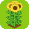 ũ��Ĳ˵�appv6.0.10 ׬Ǯ��