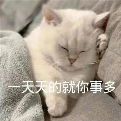 ��ɳ�����Ĭ�������°� ��Ц�ı������ºϼ�
