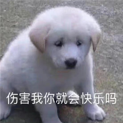 ���޵ı������ºϼ����� �˺�����ͻ������