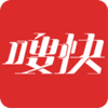 ಿ칺��v1.1 ��׿��