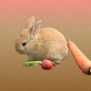 ƴ�����ܲ�v1.0 ��׿��