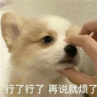 ����Ц������Ȥζ�������� ����������˵�ͷ���