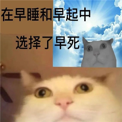 ʵ�ñ��鱬��Ц���º��� ����˯�������ѡ��������