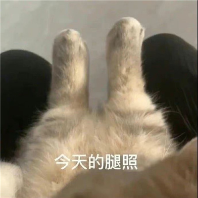 Ц���޷��԰εı������¿� һ�۾�Ц�ı���2023