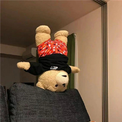���ʳ��õı����زĺϼ� ���ǰ�����������������