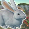 ��������(usagi)v1.3.0 ��׿��