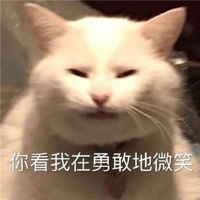 ������˼�ı���ܺ��� �㿴�����¸ҵ�΢Ц