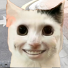 ����С����v1.0 ��׿��