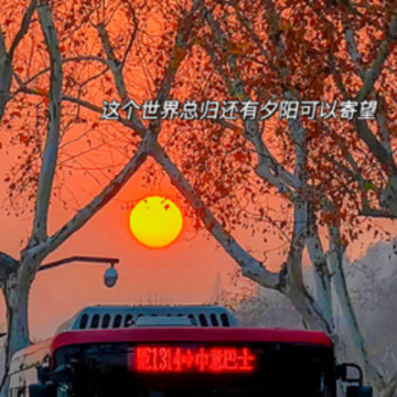������ʾ�����Լ������� �����Լ��������ǳ�