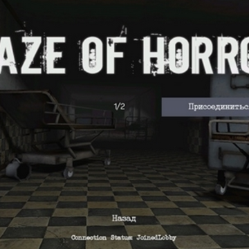 �ֲ��Թ�˫��������(Maze Of Horror)