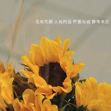 ����һ�������������޸�˵˵ ������һ˲�����˵˵
