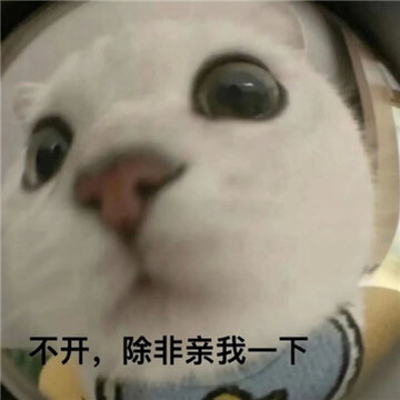 008h4Hg2ly1hbj1rug0clj30u00u00uj.jpg