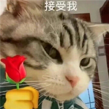 �����Ѿͷ��ѧ����� Ѿͷ�����ǲ���ƭ�˵�