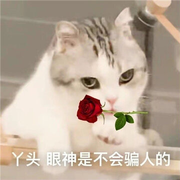 �����Ѿͷ��ѧ����� Ѿͷ�����ǲ���ƭ�˵�