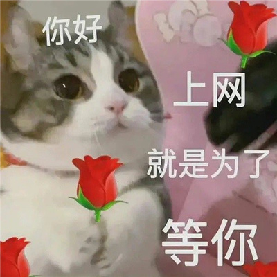�����Ѿͷ��ѧ����� Ѿͷ�����ǲ���ƭ�˵�