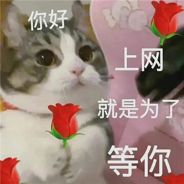 �����Ѿͷ��ѧ����� Ѿͷ�����ǲ���ƭ�˵�