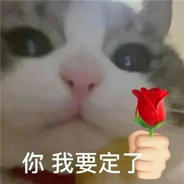 �����Ѿͷ��ѧ����� Ѿͷ�����ǲ���ƭ�˵�