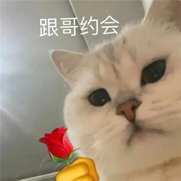 �����Ѿͷ��ѧ����� Ѿͷ�����ǲ���ƭ�˵�