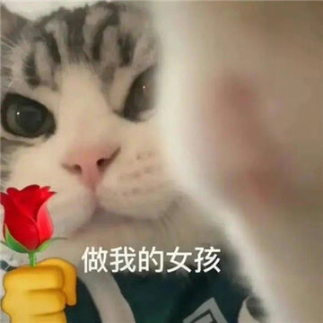 �����Ѿͷ��ѧ����� Ѿͷ�����ǲ���ƭ�˵�