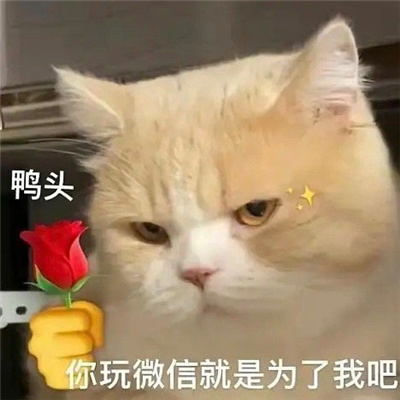 �����Ѿͷ��ѧ����� Ѿͷ�����ǲ���ƭ�˵�
