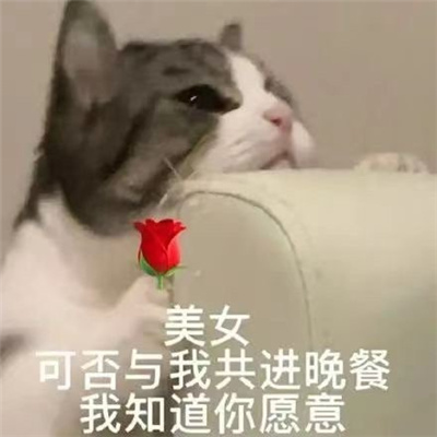 �����Ѿͷ��ѧ����� Ѿͷ�����ǲ���ƭ�˵�