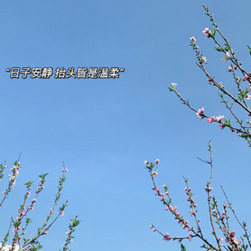 �����к����ĸ���ǩ�� ����ʵ��������ǩ��