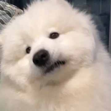 ���Ŷ��Լ��ܺõ��Ҹ����� ��ϱ��ϵ��ů�ĵ�˵˵