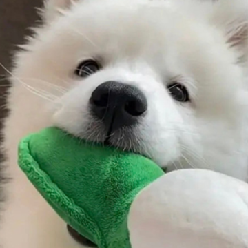 ���Ŷ��Լ��ܺõ��Ҹ����� ��ϱ��ϵ��ů�ĵ�˵˵